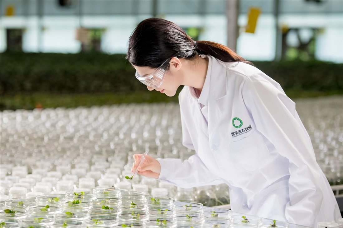 麻将胡了破解版(官方)最新IOS/安卓版/手机版APP下载