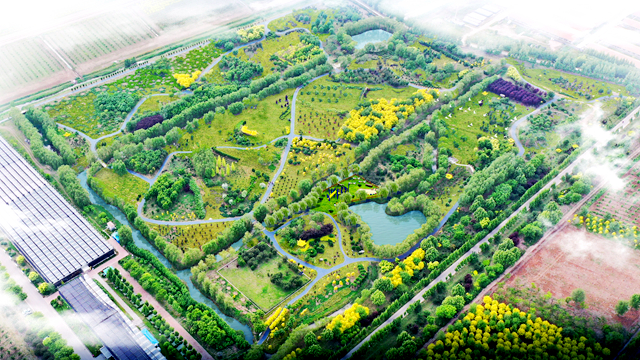 麻将胡了破解版(官方)最新IOS/安卓版/手机版APP下载